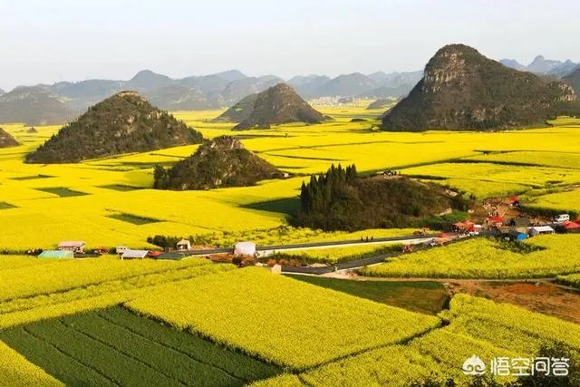 3月份最适合旅游的地方是哪里?