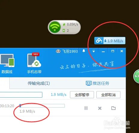 一般去哪里下载最新电影?