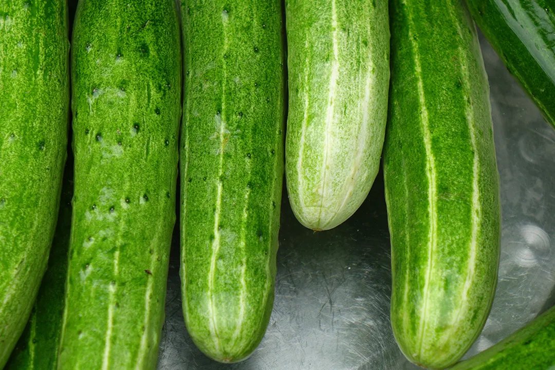 相关推荐