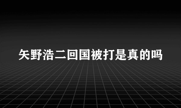 矢野浩二回国被打是真的吗