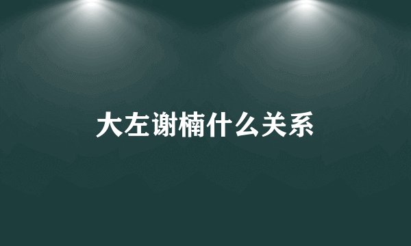 大左谢楠什么关系