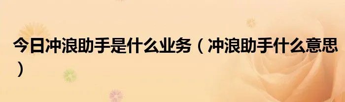 今日冲浪助手是什么业务（冲浪助手什么意思）