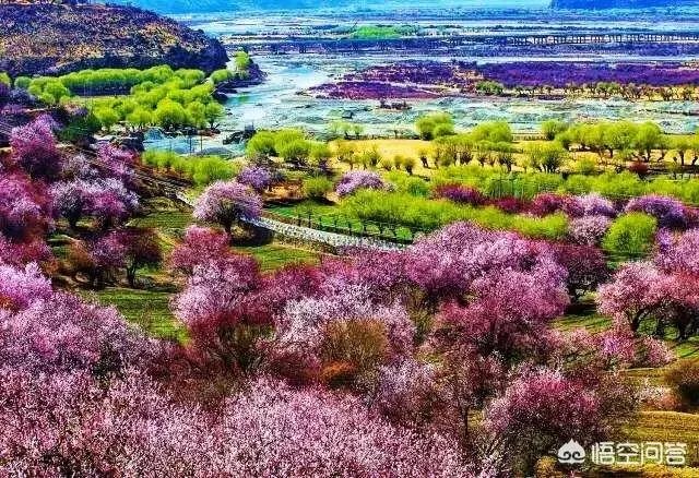 3月份最适合旅游的地方是哪里?