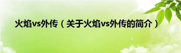 火焰vs外传（关于火焰vs外传的简介）