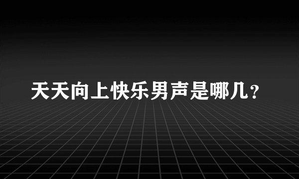 天天向上快乐男声是哪几？
