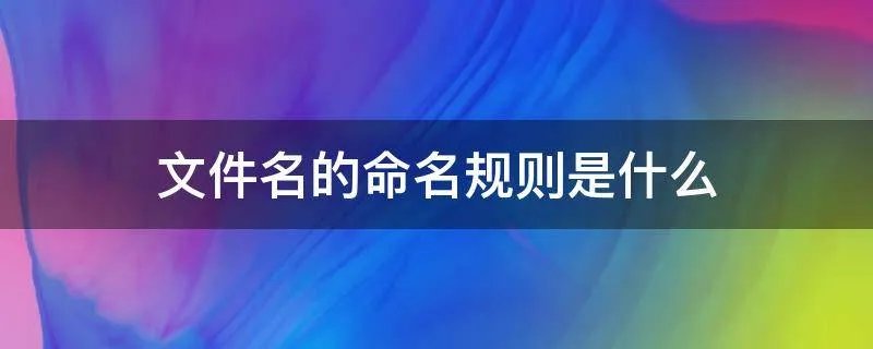 文件名的命名规则是什么