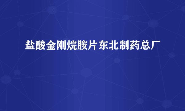 盐酸金刚烷胺片东北制药总厂