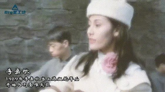 洪欣肉丸子事件是真的吗?洪欣和刘銮雄什么关系