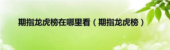期指龙虎榜在哪里看（期指龙虎榜）