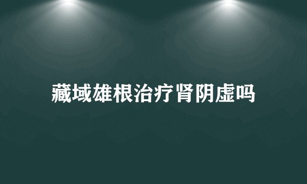 藏域雄根治疗肾阴虚吗