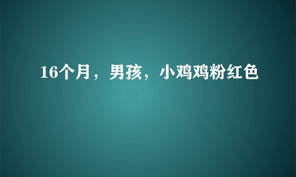 16个月，男孩，小鸡鸡粉红色