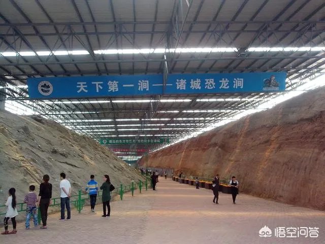 科学家发现2.2亿年前恐龙墓,谁给安葬的呀?
