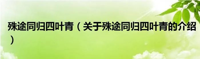 殊途同归四叶青（关于殊途同归四叶青的介绍）