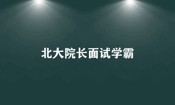 北大院长面试学霸
