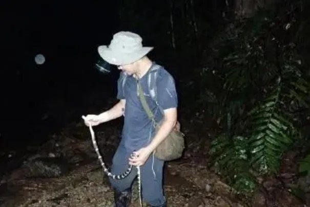 中科院给一剧毒蛇新种命名为素贞,这个命名有什么含义呢?