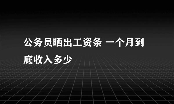 公务员晒出工资条 一个月到底收入多少