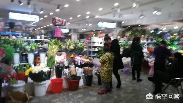 长春有哪些花鸟鱼市场?