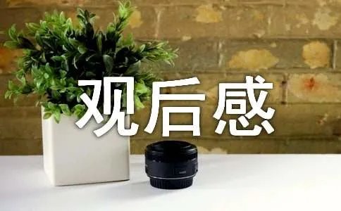 《上学路上》观后感 