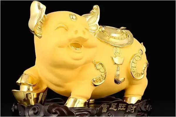71年属猪48岁命运,1971年属猪是什么命 1971年出生人的命运