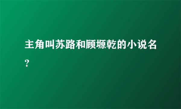 主角叫苏路和顾塬乾的小说名？