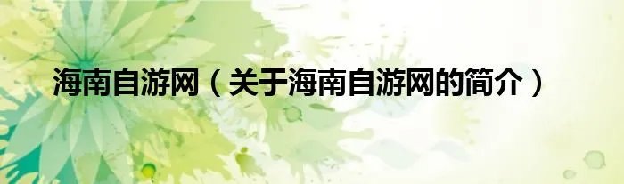 海南自游网（关于海南自游网的简介）