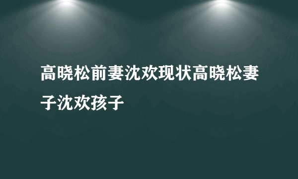 高晓松前妻沈欢现状高晓松妻子沈欢孩子