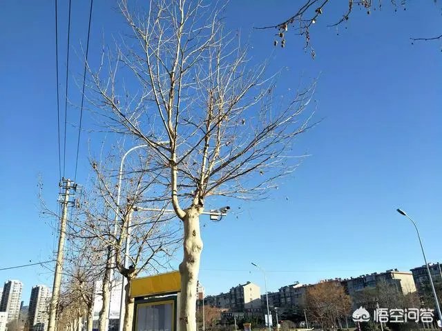想放弃的时候怎么办?