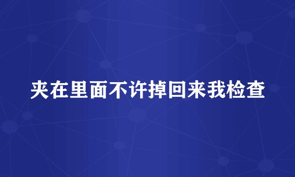 夹在里面不许掉回来我检查