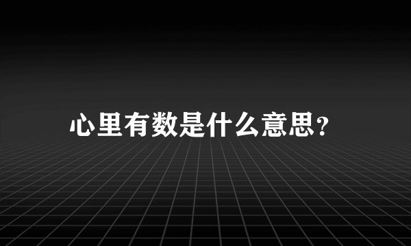心里有数是什么意思？