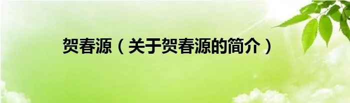 贺春源（关于贺春源的简介）