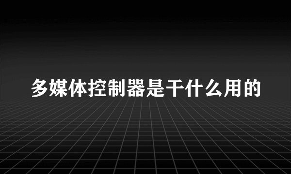 多媒体控制器是干什么用的
