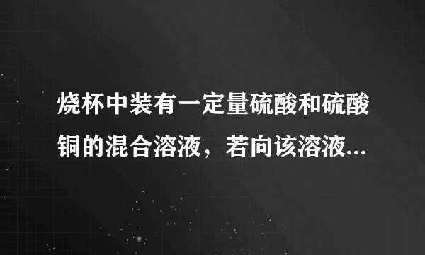 烧杯中装有一定量硫酸和硫酸铜的混合溶液,若向该溶液中加入足量的BaCl