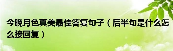 今晚月色真美最佳答复句子（后半句是什么怎么接回复）