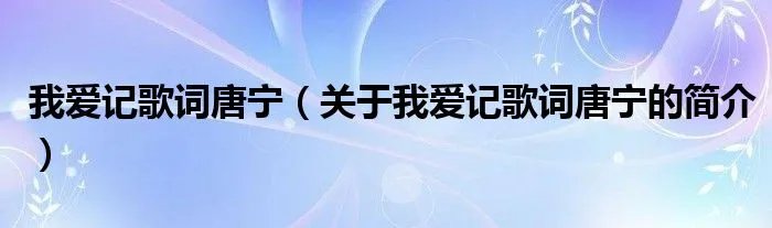 我爱记歌词唐宁（关于我爱记歌词唐宁的简介）