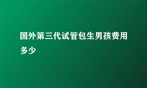 国外第三代试管包生男孩费用多少