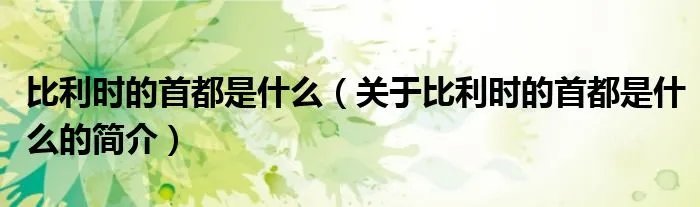 比利时的首都是什么（关于比利时的首都是什么的简介）