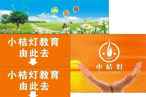 全国十大作文辅导培训机构:快乐魔方上榜,阳光喔第一