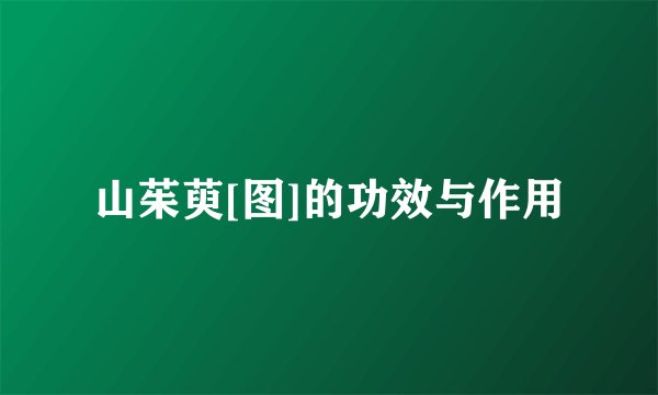 山茱萸[图]的功效与作用