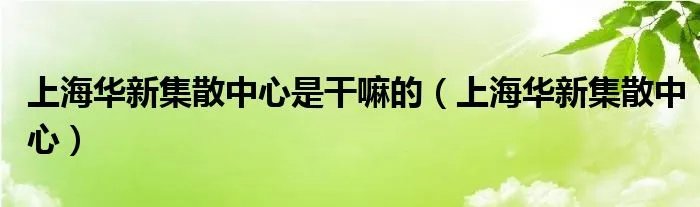 上海华新集散中心是干嘛的（上海华新集散中心）