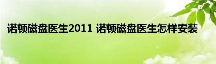 诺顿磁盘医生2011 诺顿磁盘医生怎样安装
