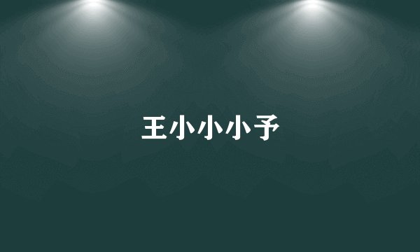 王小小小予