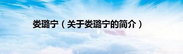 娄璐宁（关于娄璐宁的简介）