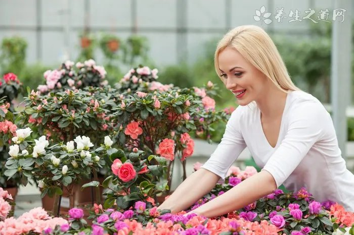 婴儿床怎么选购