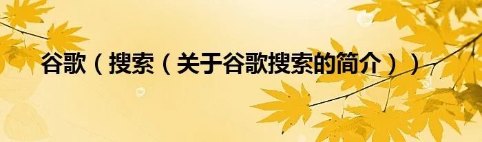 谷歌（搜索（关于谷歌搜索的简介））