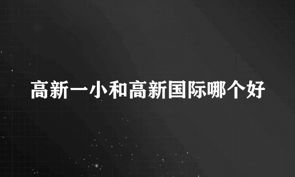 高新一小和高新国际哪个好