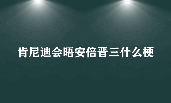 肯尼迪会晤安倍晋三什么梗