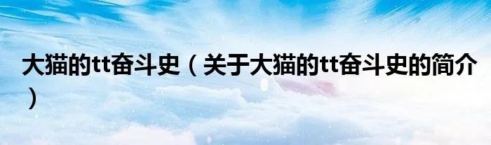 大猫的tt奋斗史（关于大猫的tt奋斗史的简介）