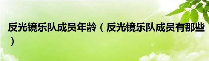 反光镜乐队成员年龄（反光镜乐队成员有那些）