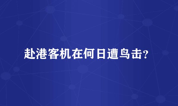 赴港客机在何日遭鸟击？