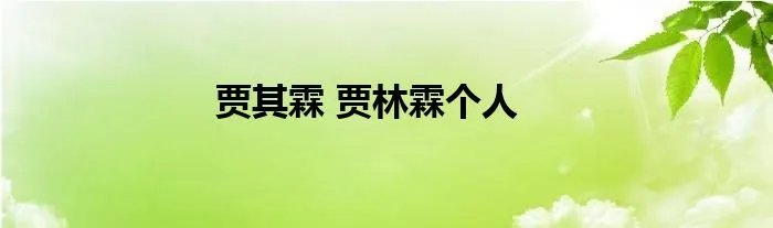 贾其霖 贾林霖个人